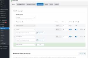 选择哪些语言使用独立域名