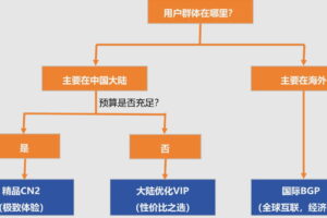 RAKsmart大陆优化VIP、精品CN2和国际BGP线路选择指南
