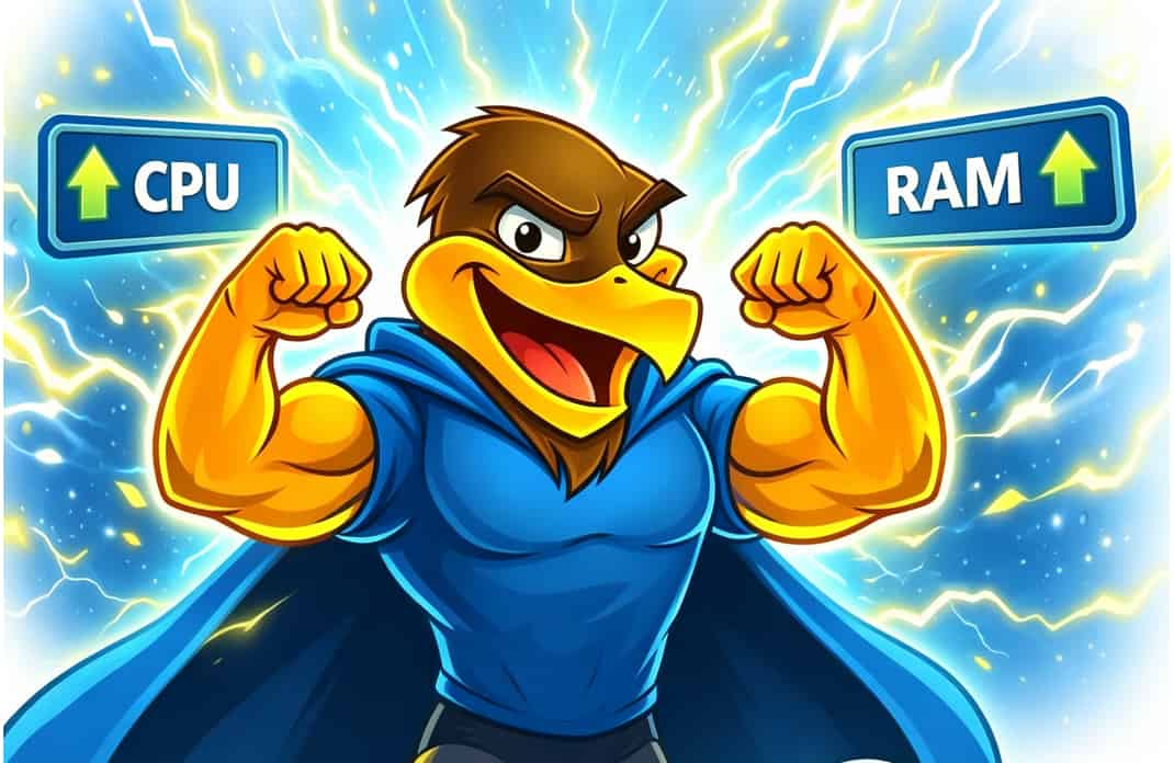 HawkHost全新功能上线