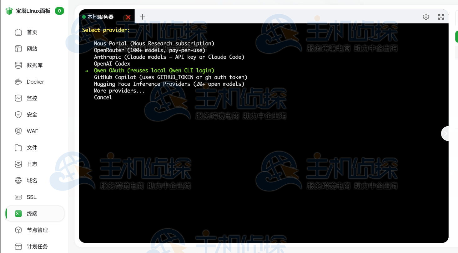 选择模型供应商