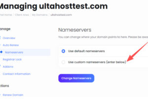 点击使用自定义名称服务器