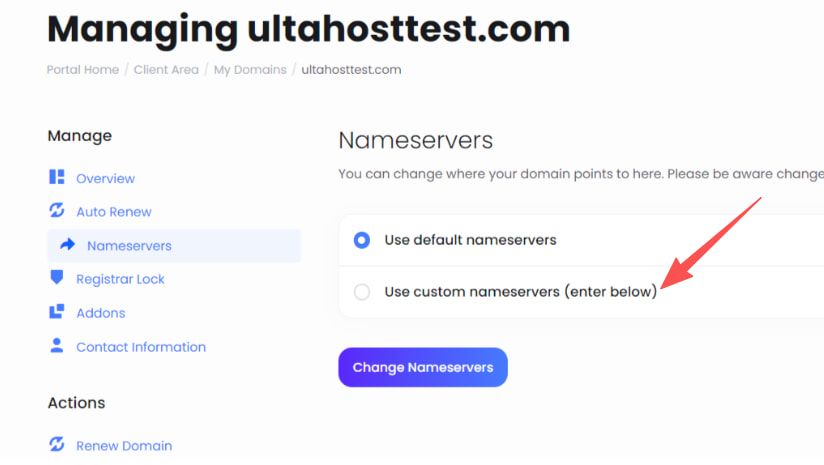 点击使用自定义名称服务器