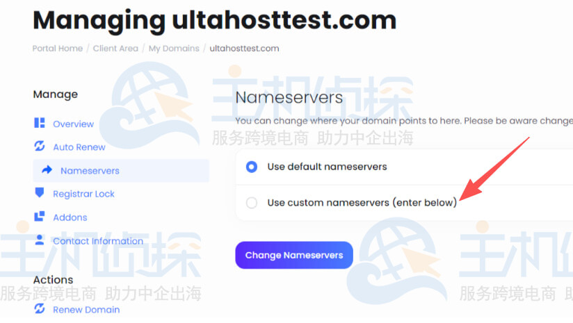 点击使用自定义名称服务器