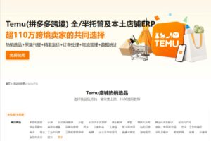 Temu官方接口