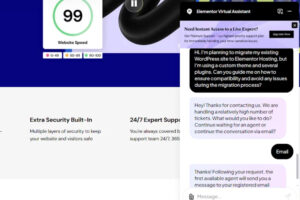 Elementor Hosting实时聊天