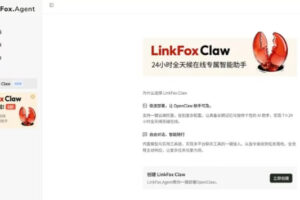 打开LinkFox Agent