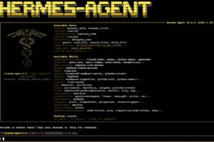 访问Hermes Agent