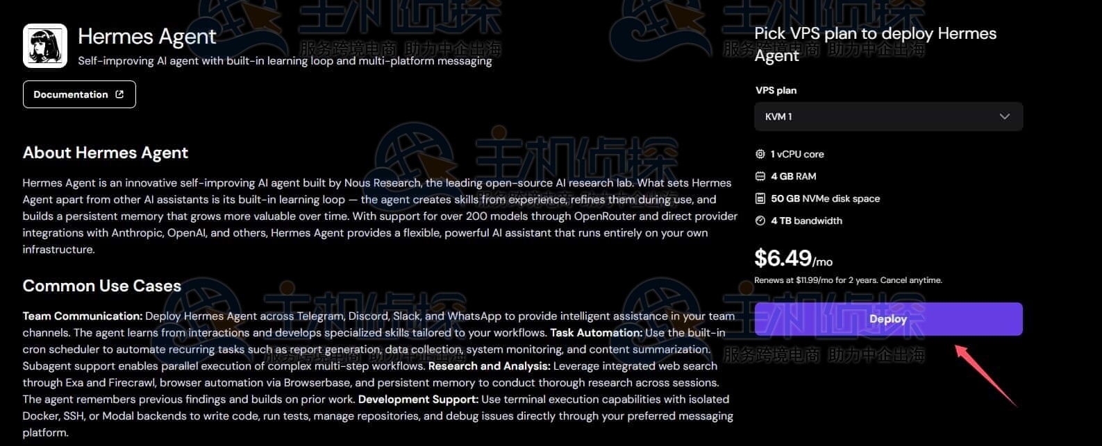 Hermes Agent VPS”