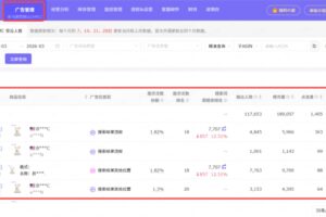 亚马逊营销云(AMC)
