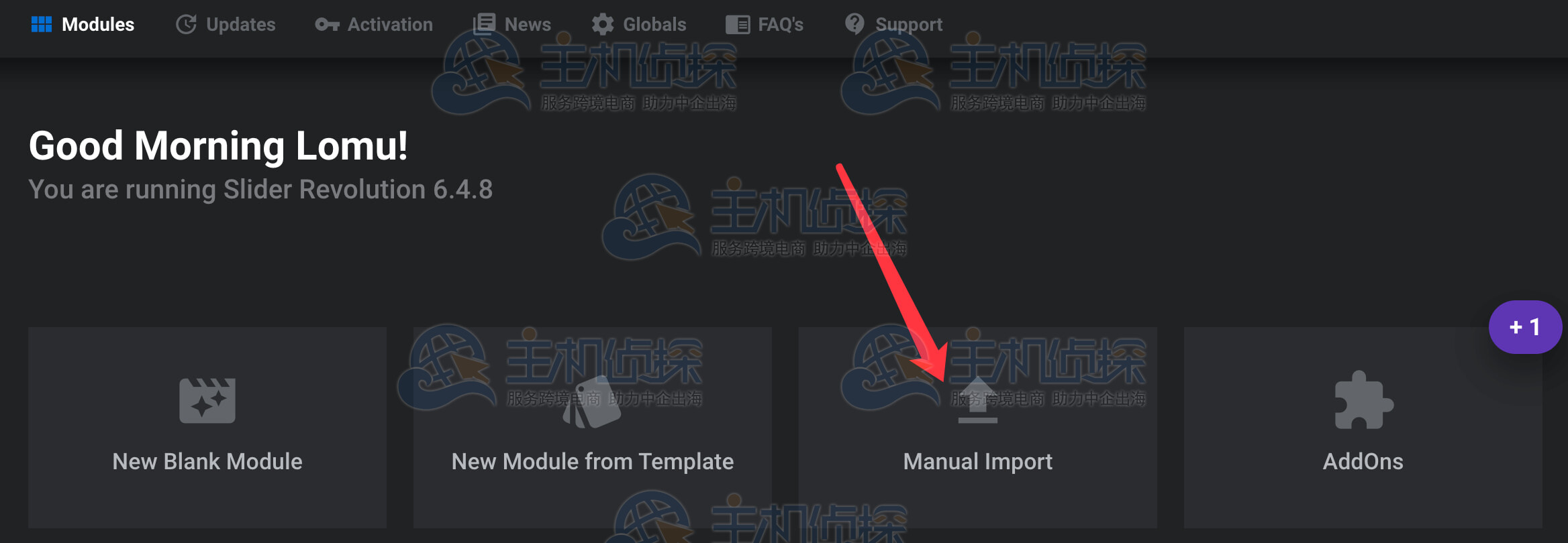 点击Manual Import