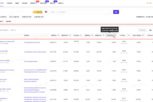 标项的详细说明