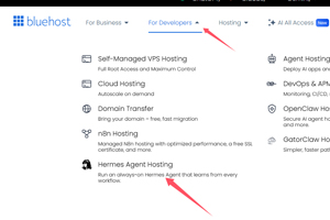 BlueHost