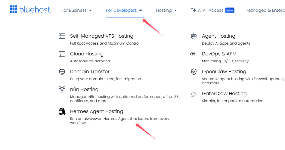 BlueHost
