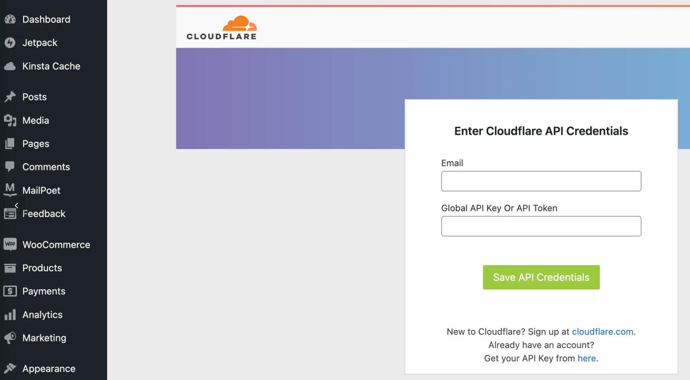 Global API Key