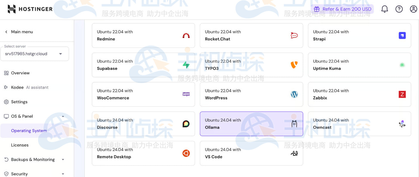 使用Hostinger VPS模板安装