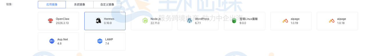 应用镜像