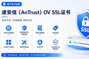 国产数字OV证书品牌推荐指南