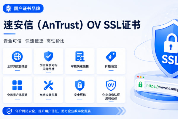 国产数字OV证书品牌推荐指南