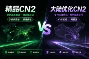 RakSmart服务器精品CN2和大陆优化CN2区别