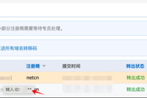 域名管理与操作优化