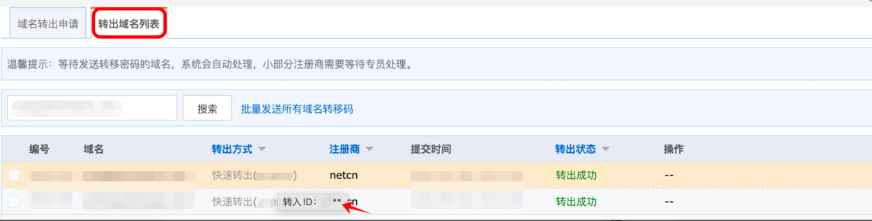 域名管理与操作优化