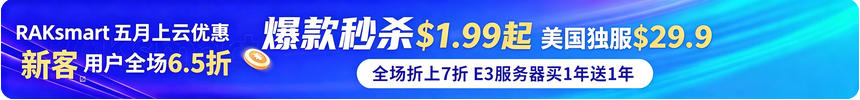 RAKsmart美国服务器