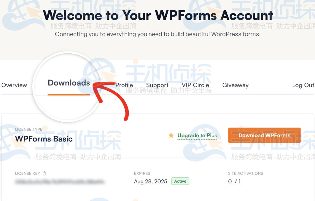 Downloads（下载）标签页