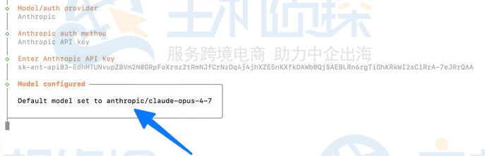 填入配置向导