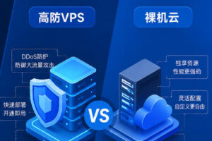 RakSmart高防VPS和裸机云