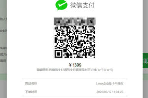完成支付