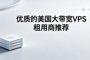 美国大带宽VPS