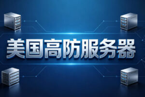 美国高防服务器