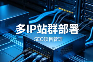 RakSmart站群服务器