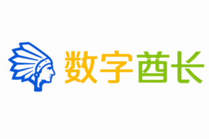 数字酋长