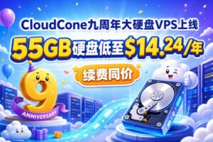 CloudCone九周年大硬盘VPS上线