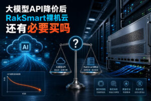 RakSmart裸机云