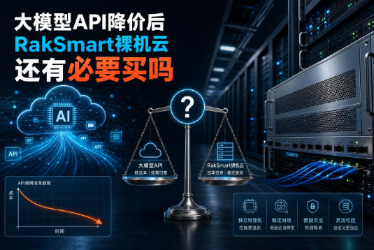 RakSmart裸机云