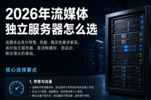 2026年流媒体独立服务器怎么选