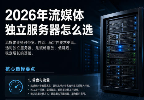 2026年流媒体独立服务器怎么选