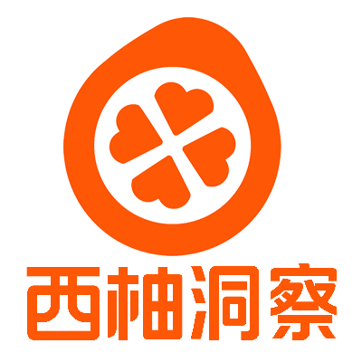 西柚洞察（西柚找词）