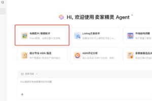 卖家精灵Agent页面