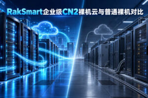 RakSmart企业级CN2裸机云与普通裸机云服务器有什么区别？