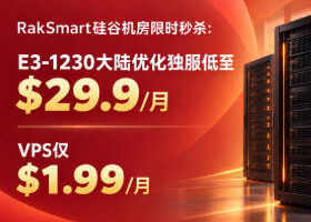 RakSmart硅谷机房限时秒杀