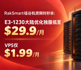 RakSmart硅谷机房限时秒杀