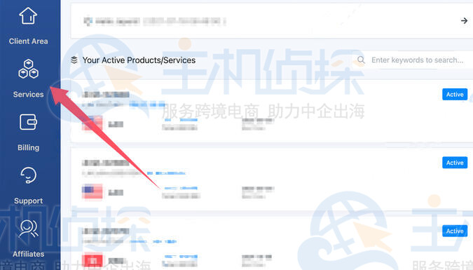 左侧导航栏中的“服务”入口