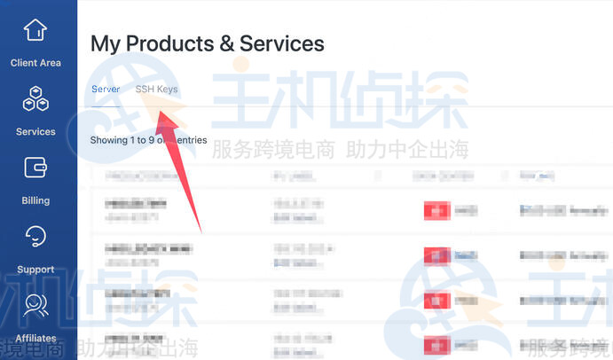 “SSH 密钥”选项卡