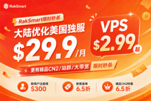 RakSmart秋季秒杀