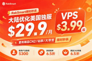 RakSmart限时活动