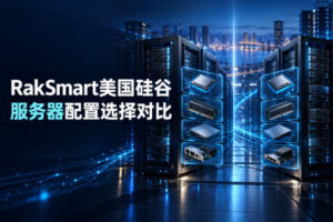 RakSmart美国硅谷服务器配置选择对比